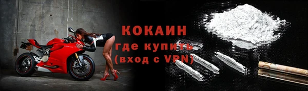 твердый Аркадак