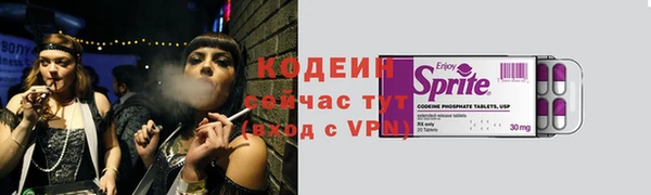 дурь Арсеньев