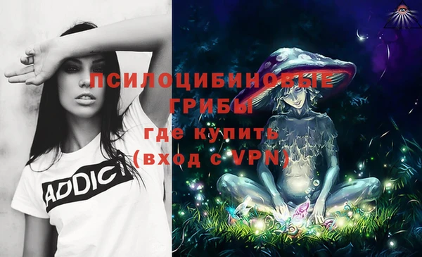 прущие крисы Армянск
